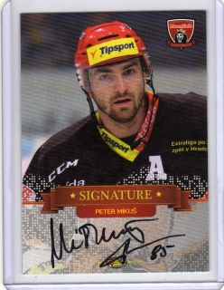 OFS 2013-2014 Signature SILVER 74/99 # SIGN 44 Mikuš Petr - Hradec Kr.